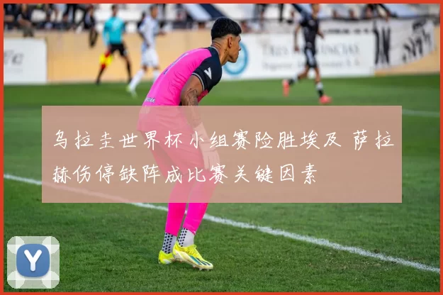 乌拉圭世界杯小组赛险胜埃及 萨拉赫伤停缺阵成比赛关键因素